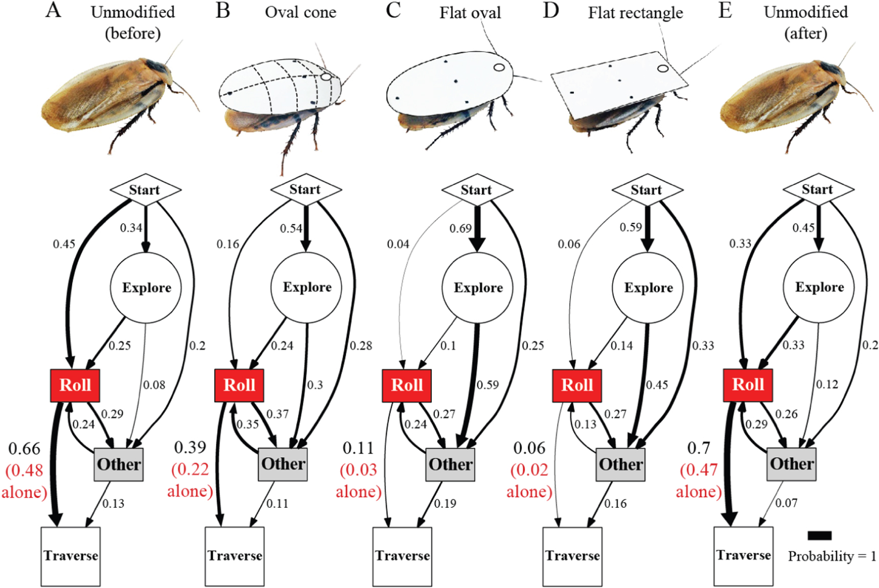 Animals Not Streamlined Terradynamically streamlined shapes in animals and robots enhance ...