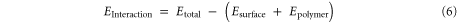 Equation (6)
