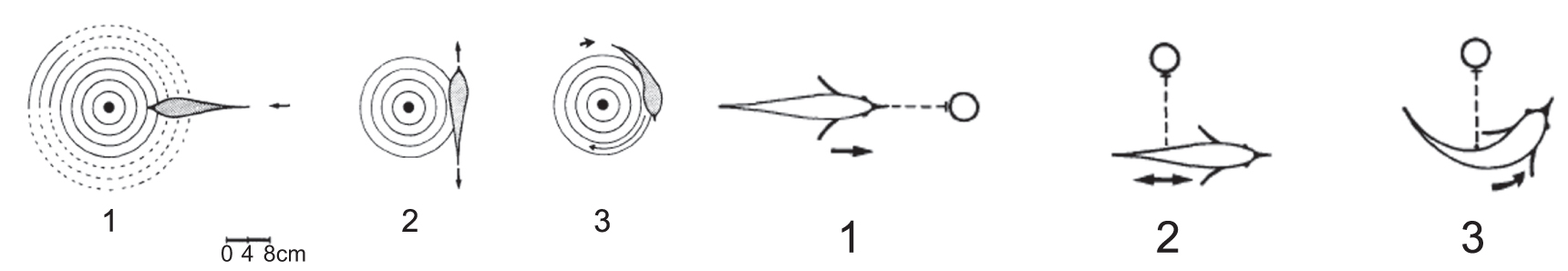 Reactive underwater object inspection based on artificial electric ...