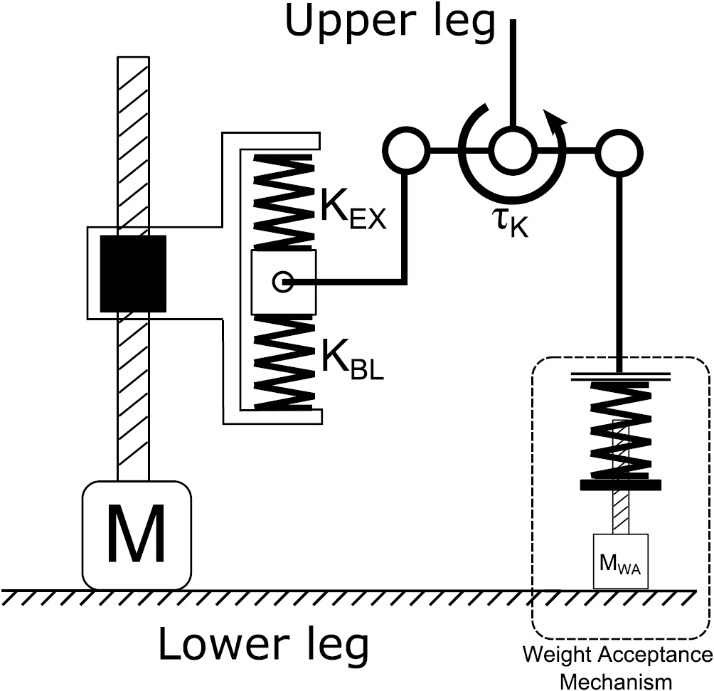Design and energetic evaluation of a prosthetic knee joint actuator ...