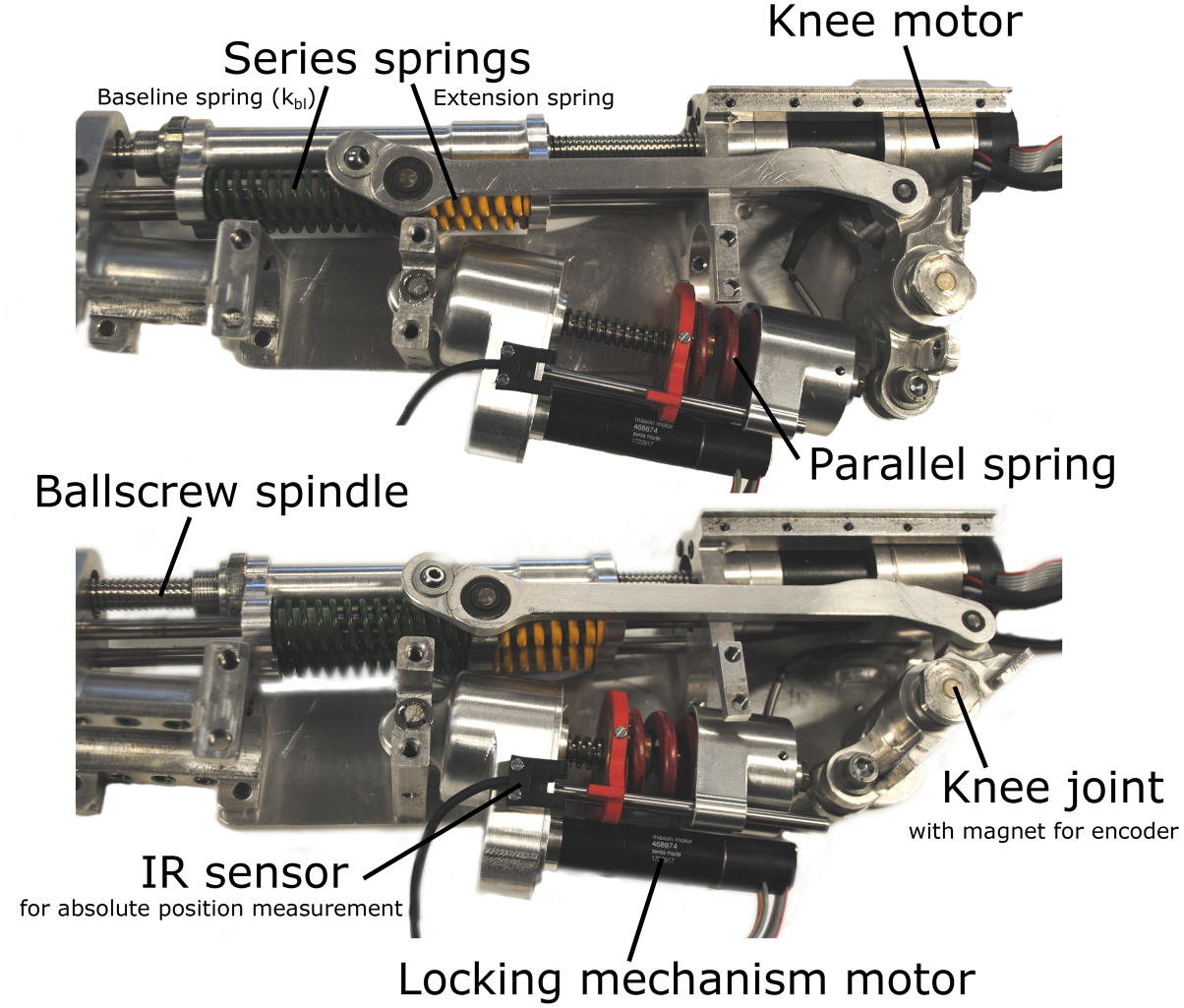 Design and energetic evaluation of a prosthetic knee joint actuator ...