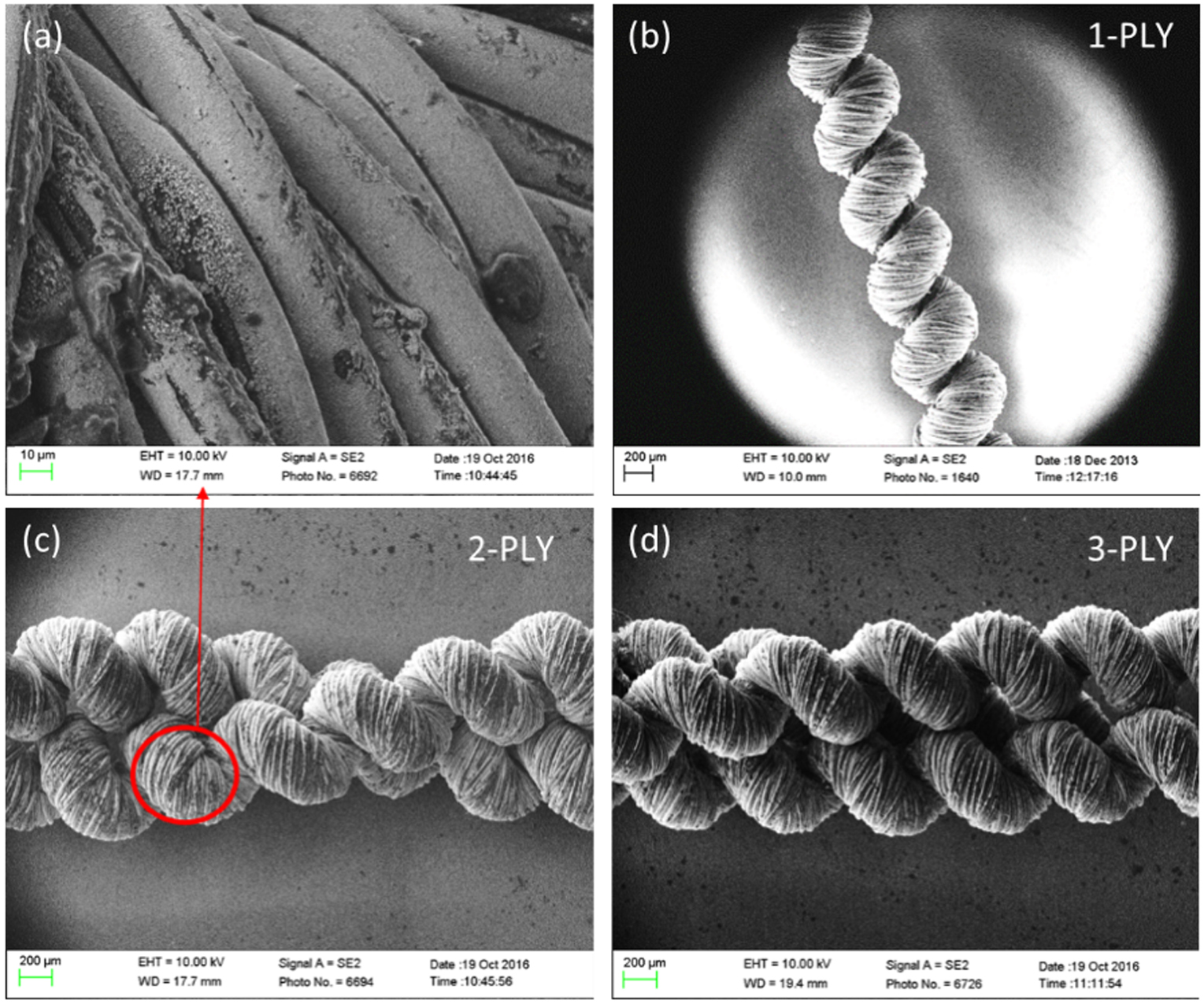 Muscle Thread Compact and low-cost humanoid hand powered by nylon artificial muscles ...