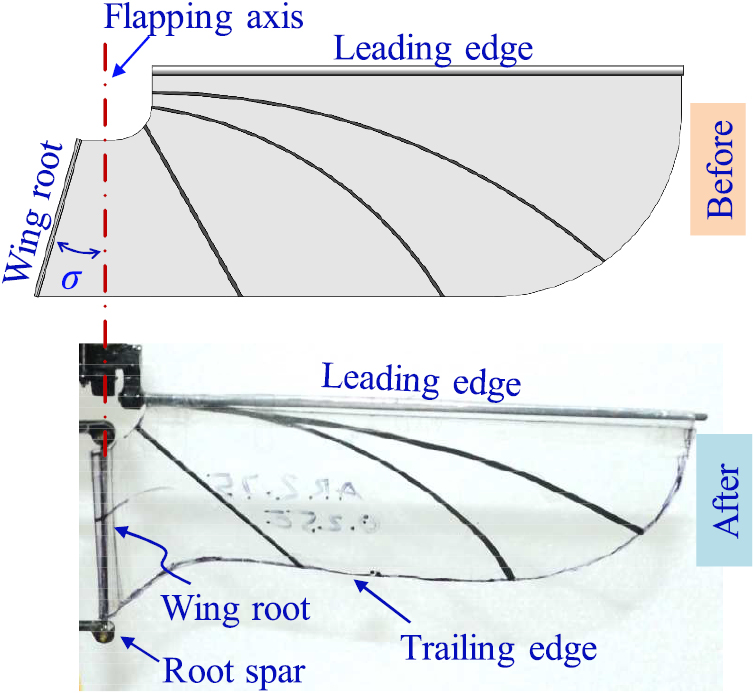 Design and stable flight of a 21 g insect-like tailless flapping wing ...