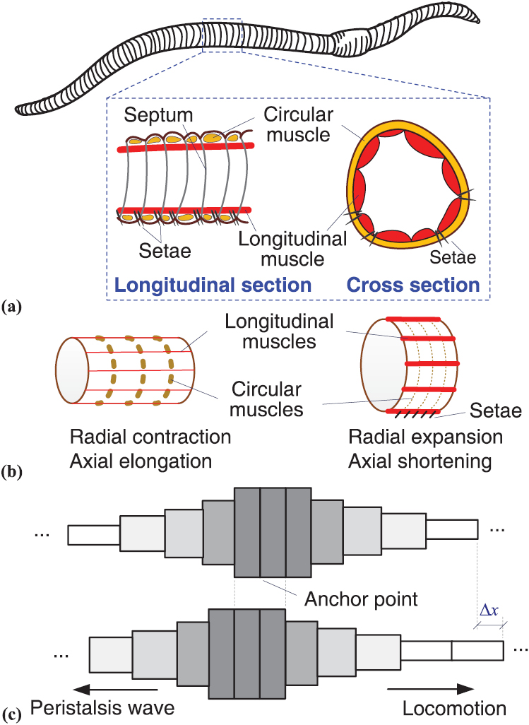 Origami-based earthworm-like locomotion robots - IOPscience