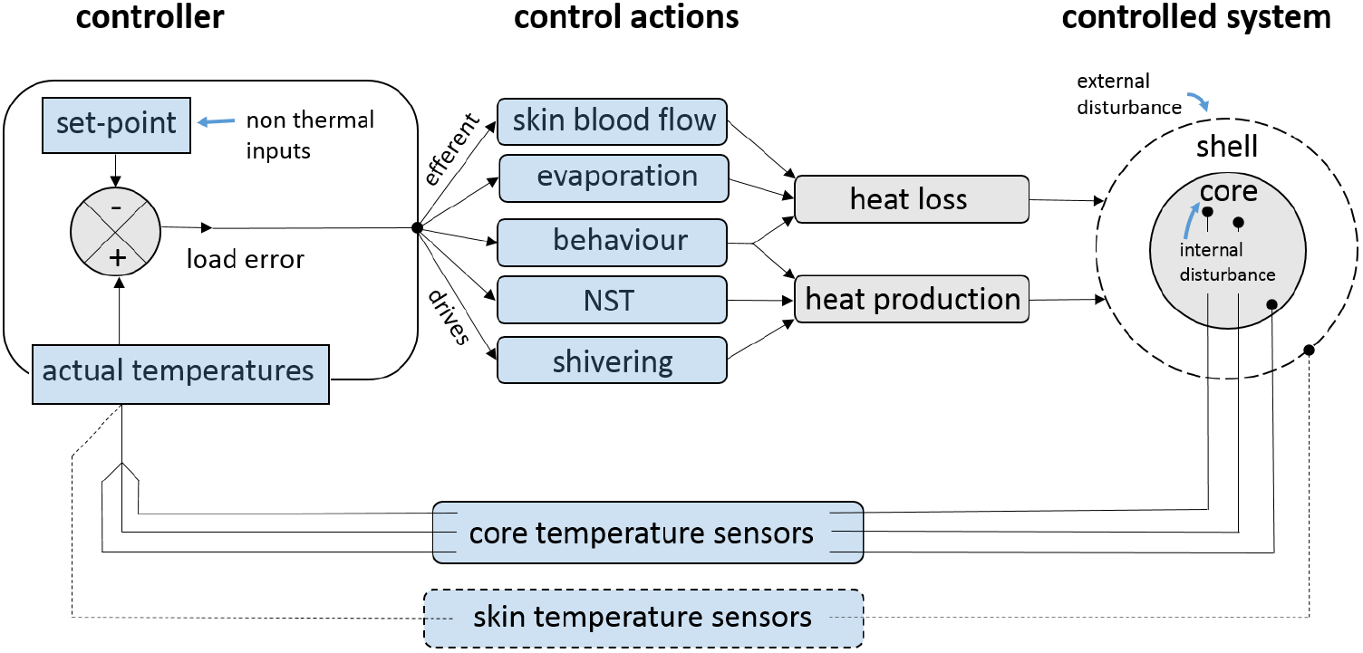 Heat Control In Animal Animal thermoregulation: a review of insulation, physiology and ...