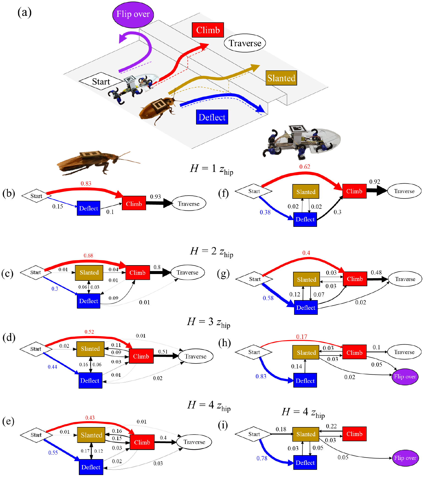 Body-terrain interaction affects large bump traversal of insects and ...