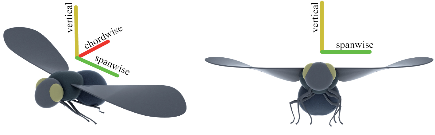 The effects of wing twist in slow-speed flapping flight of birds ...