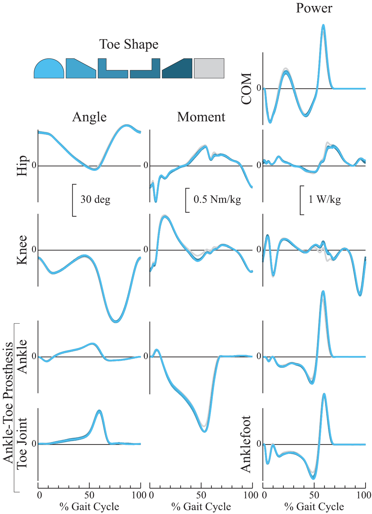 Effect of toe joint stiffness and toe shape on walking biomechanics ...