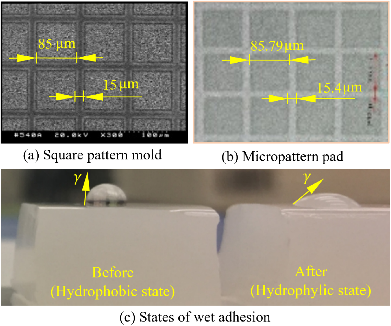 Mechanics of wet adhesion in soft interaction with patterned morphology ...