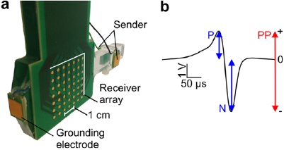 A bio-inspired electric camera for short-range object inspection in ...