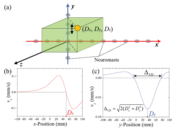 Flow field perception based on the fish lateral line system - IOPscience