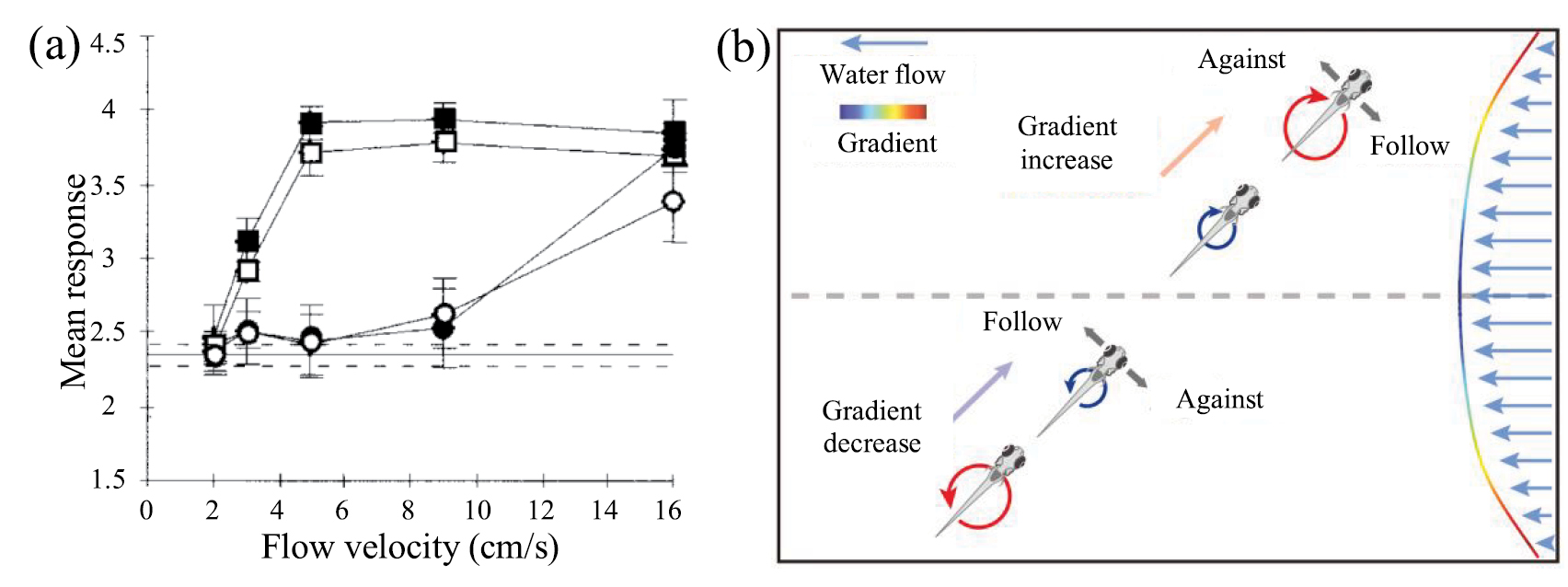 Flow field perception based on the fish lateral line system - IOPscience