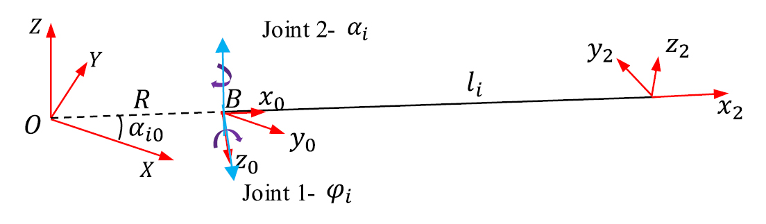 Theoretical and numerical studies on a five-ray flexible pectoral fin ...