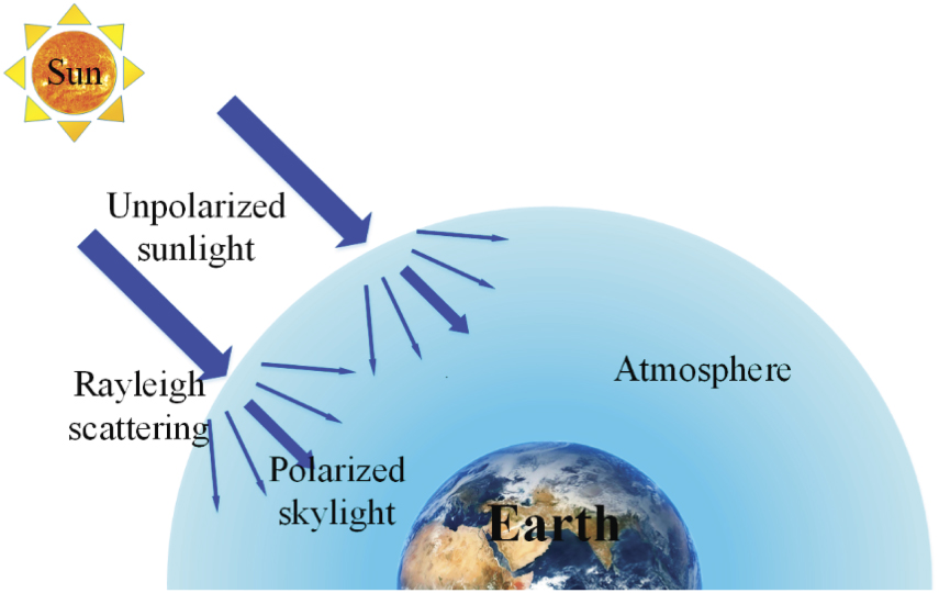 Limitation of Rayleigh sky model for bioinspired polarized skylight ...