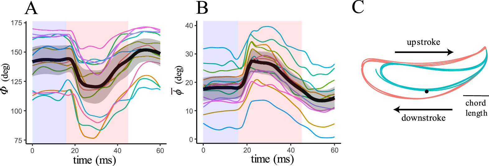Wing Gust Response Spectrogram Wing rapid responses and aerodynamics of fruit flies during headwind ...
