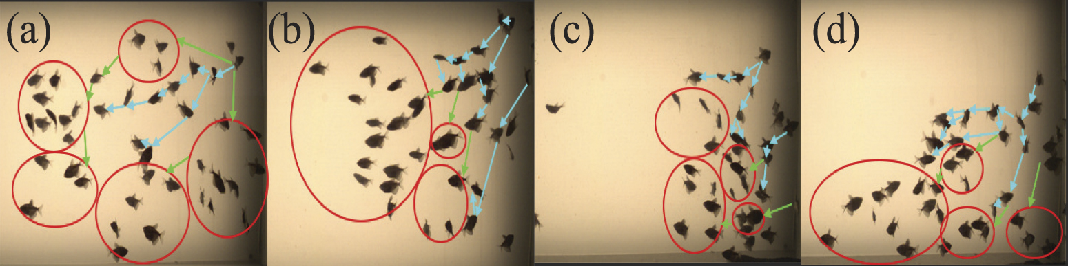 School formation characteristics and stimuli based modeling of tetra ...