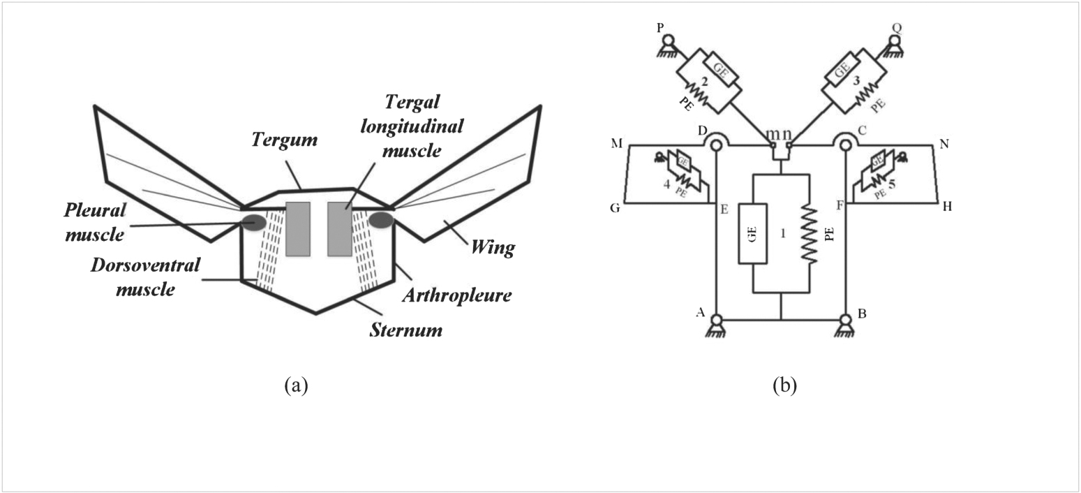 Design optimization and experimental study of a novel mechanism for a ...