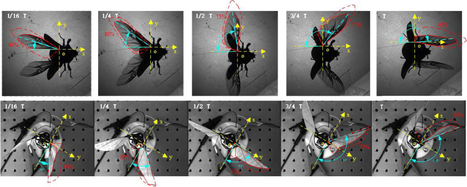 Design optimization and experimental study of a novel mechanism for a ...