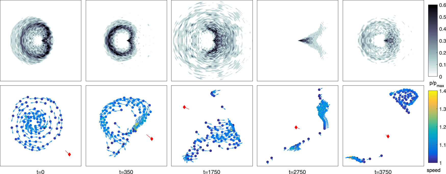 Spontaneous response of a self-organized fish school to a predator ...