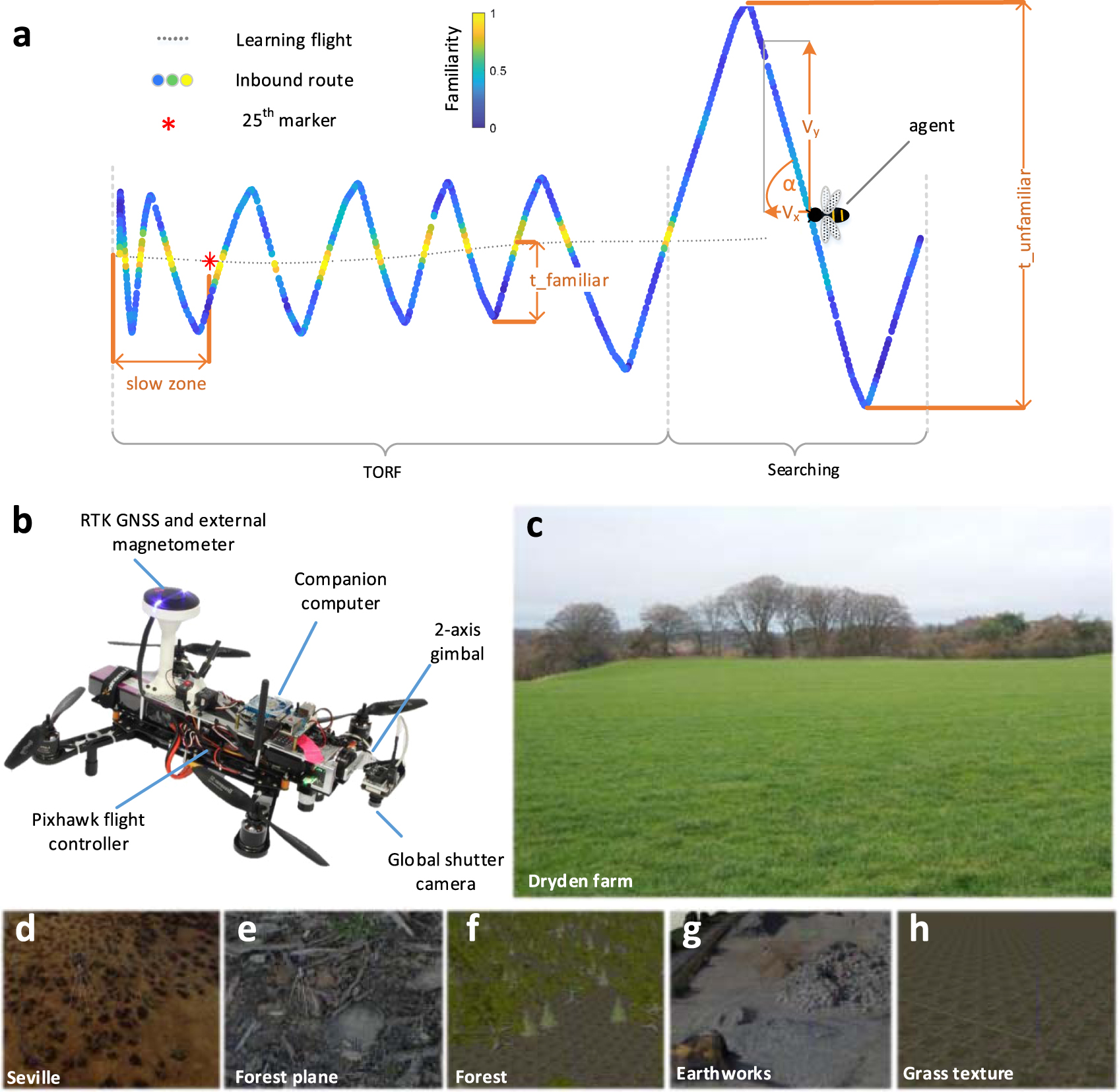 Looking down: a model for visual route following in flying insects ...