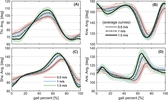 Estimation of knee and ankle angles during walking using thigh and ...