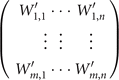 $\left(\begin{array}{ccc}\hfill {W}_{1,1}^{\prime }\hfill & \hfill \cdots \hfill & \hfill {W}_{1,n}^{\prime }\hfill \\ \hfill {\vdots}\hfill & \hfill {\vdots}\hfill & \hfill {\vdots}\hfill \\ \hfill {W}_{m,1}^{\prime }\hfill & \hfill \cdots \hfill & \hfill {W}_{m,n}^{\prime }\hfill \end{array}\right)$