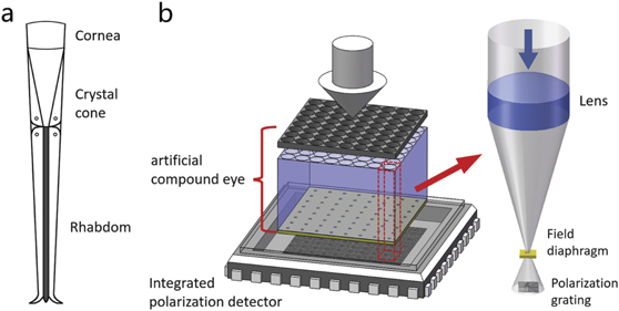 A bio-inspired polarization navigation sensor based on artificial ...