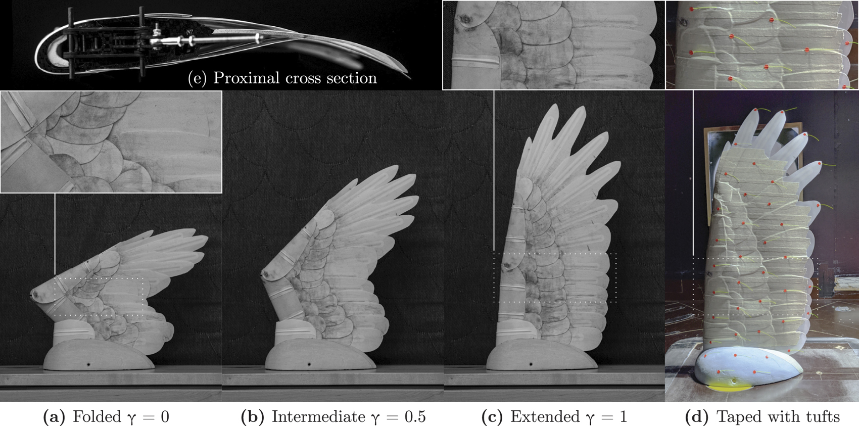 Myewing Bioinspired morphing wings: mechanical design and wind tunnel ...