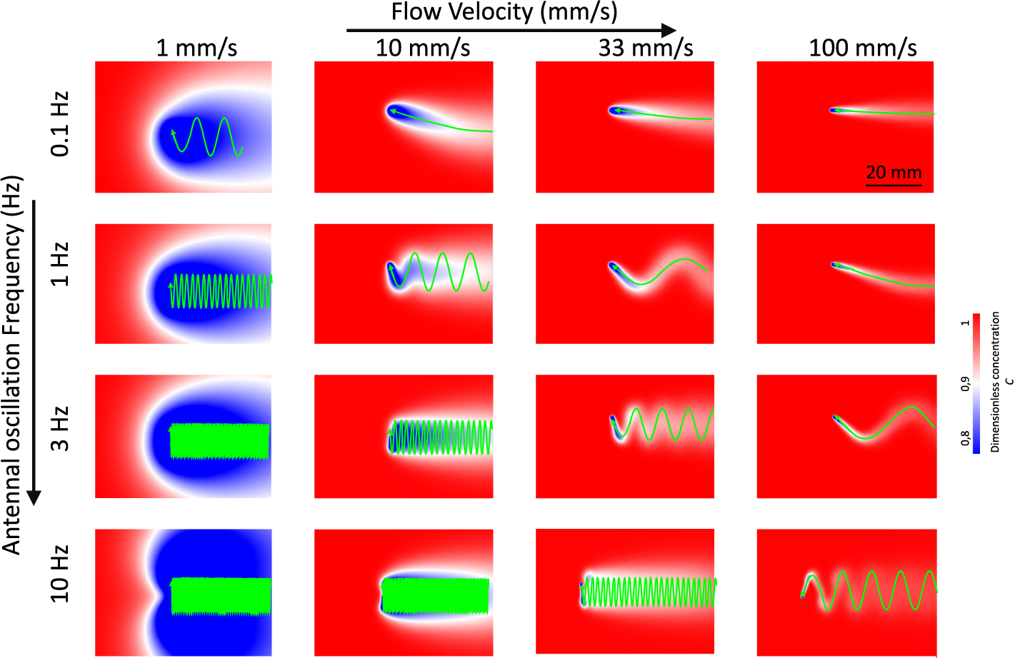 Oscillators Insect Oscillations for active sensing in olfaction: bioinspiration from ...