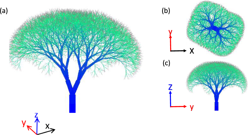 Branching pattern of flexible trees for environmental load mitigation ...