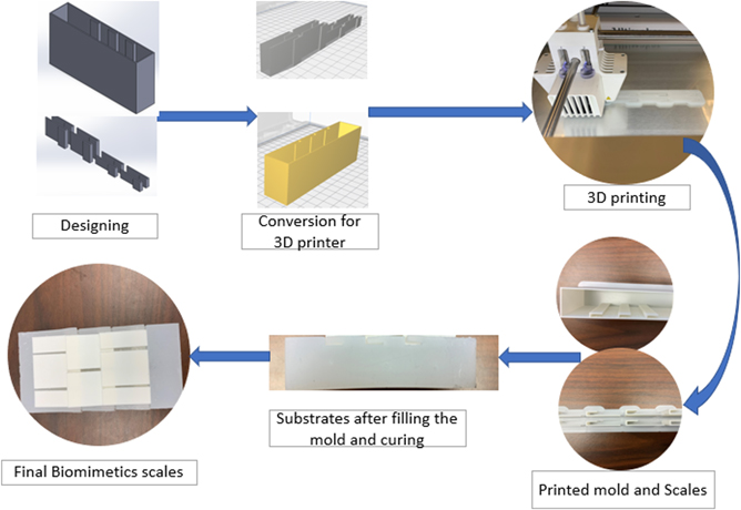 Prefa Fish Scale Fish scale inspired structures—a review of materials, manufacturing and ...