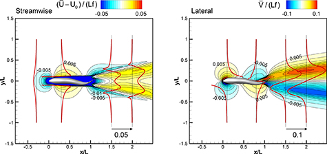 Vortex Enhancing Improved swimming performance in schooling fish via leading-edge vortex ...
