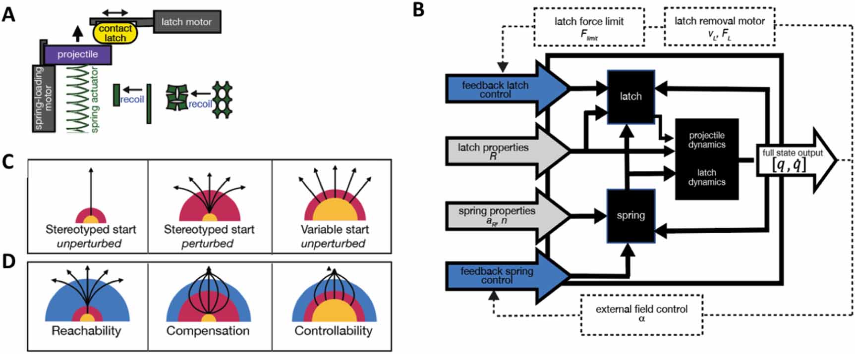 Spring and latch dynamics can act as control pathways in ultrafast ...