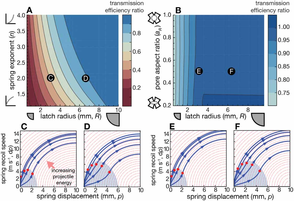 Spring Variability Spring and latch dynamics can act as control pathways in ultrafast ...