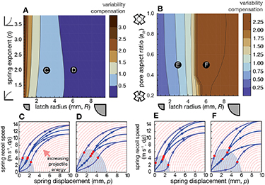 Spring Variability Spring and latch dynamics can act as control pathways in ultrafast ...