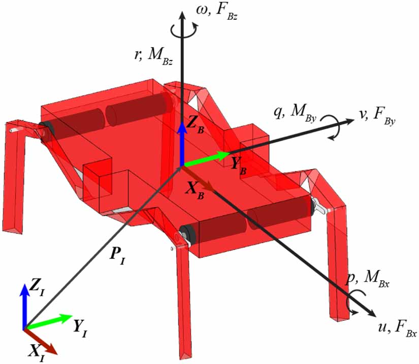 Control and study of bio-inspired quadrupedal gaits on an underactuated ...