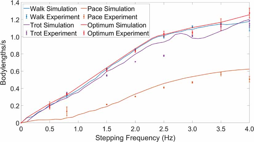 Control and study of bio-inspired quadrupedal gaits on an underactuated ...