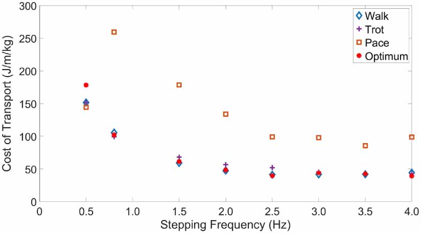 Control and study of bio-inspired quadrupedal gaits on an underactuated ...