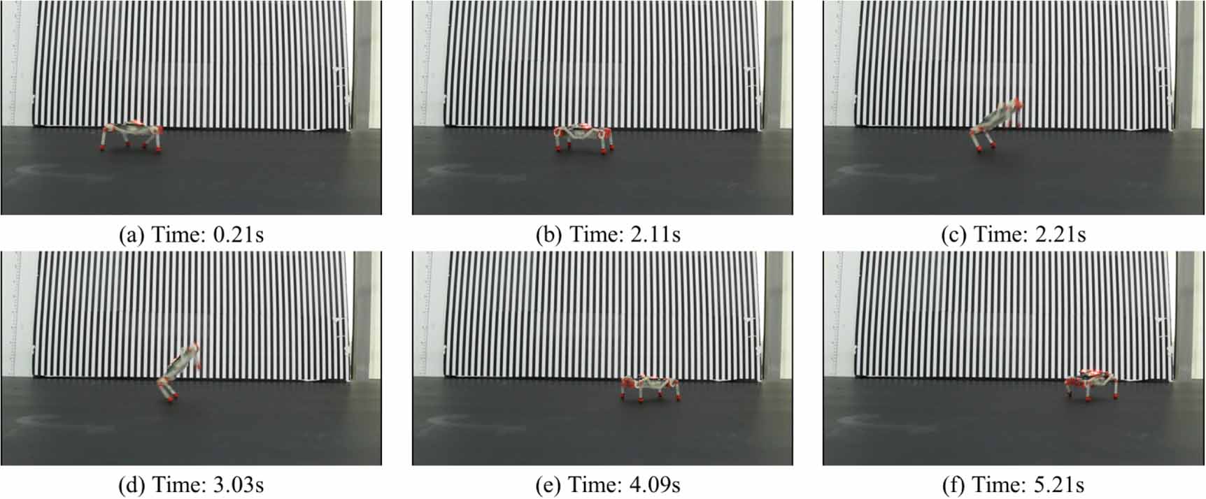 Control and study of bio-inspired quadrupedal gaits on an underactuated ...