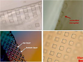 Perspective for soft robotics: the field's past and future - IOPscience