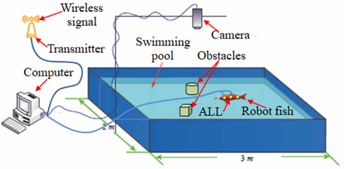 A study on flow field characteristics of a self-propelled robot fish ...