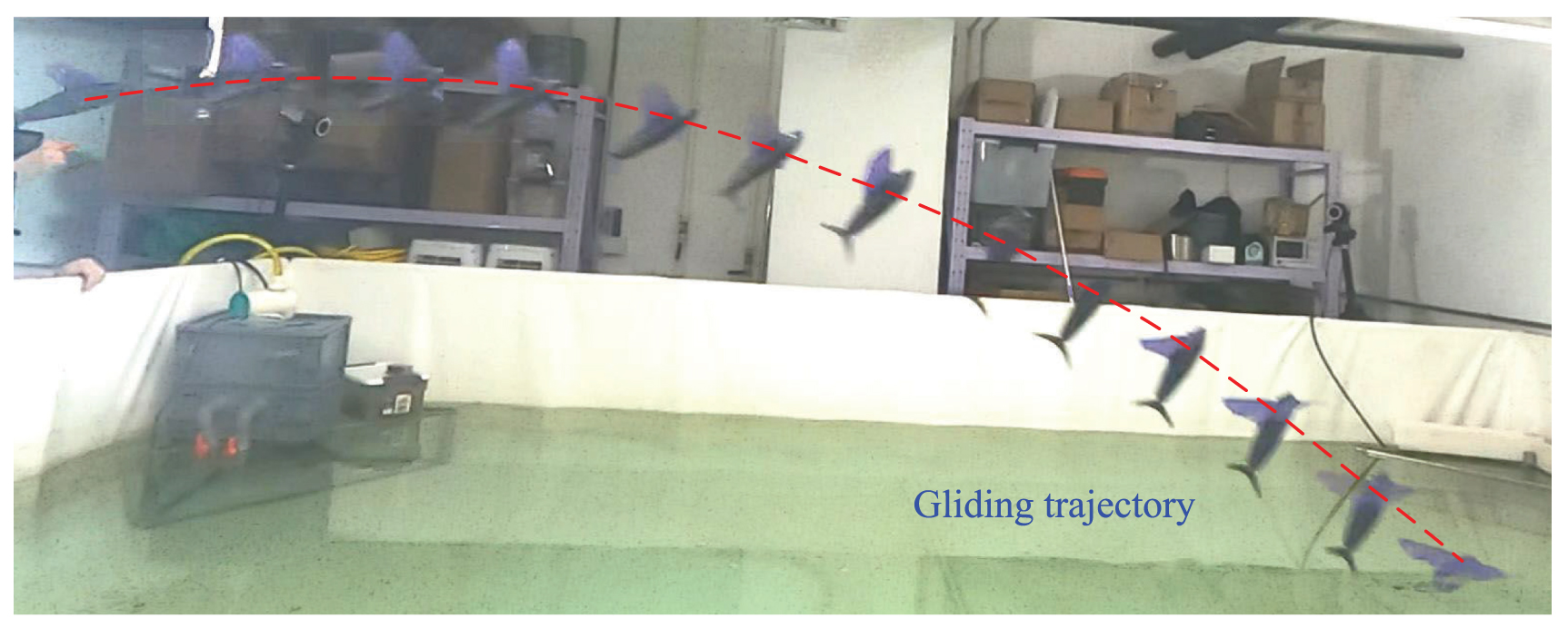 Platform development and gliding optimization of a robotic flying fish ...