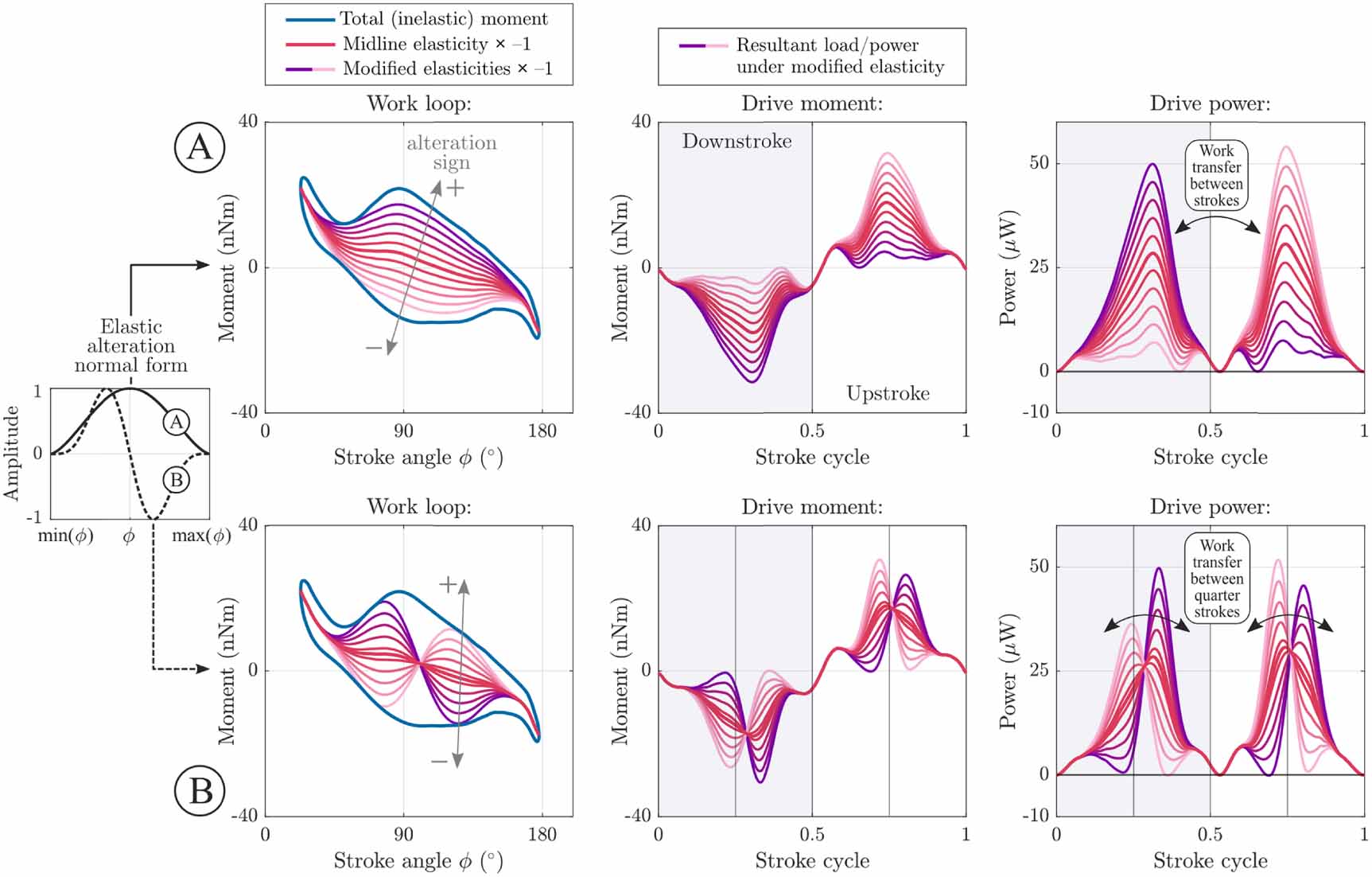Solving the thoracic inverse problem in the fruit fly - IOPscience