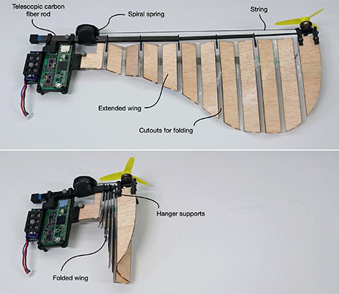 Nature-inspired in-flight foldable rotorcraft - IOPscience