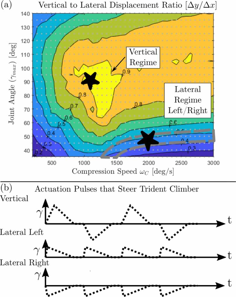 Pacific lamprey inspired climbing - IOPscience