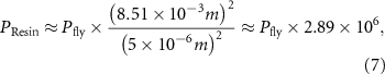 Equation (7)