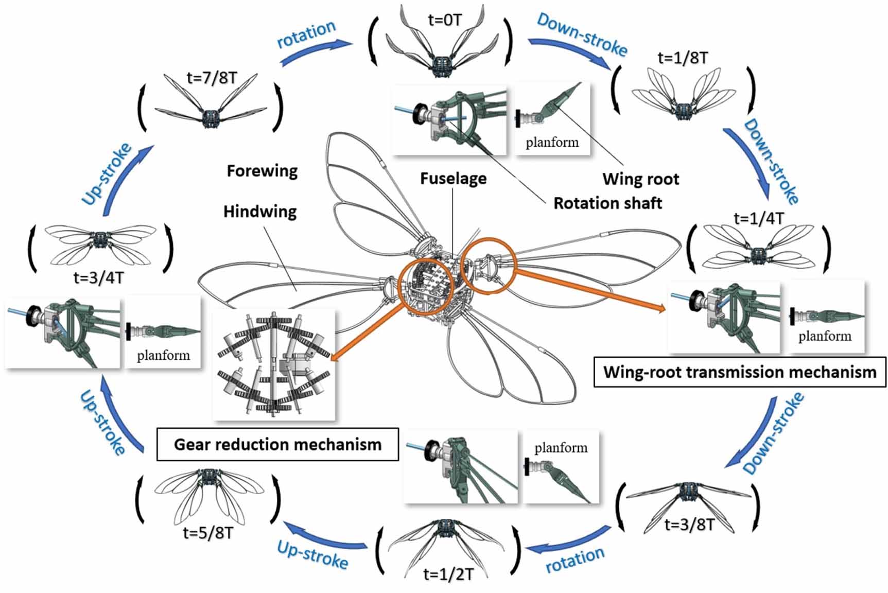 Analyzing the kinematics and longitudinal aerodynamics of a four-wing ...
