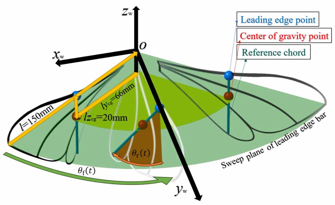 Analyzing the kinematics and longitudinal aerodynamics of a four-wing ...