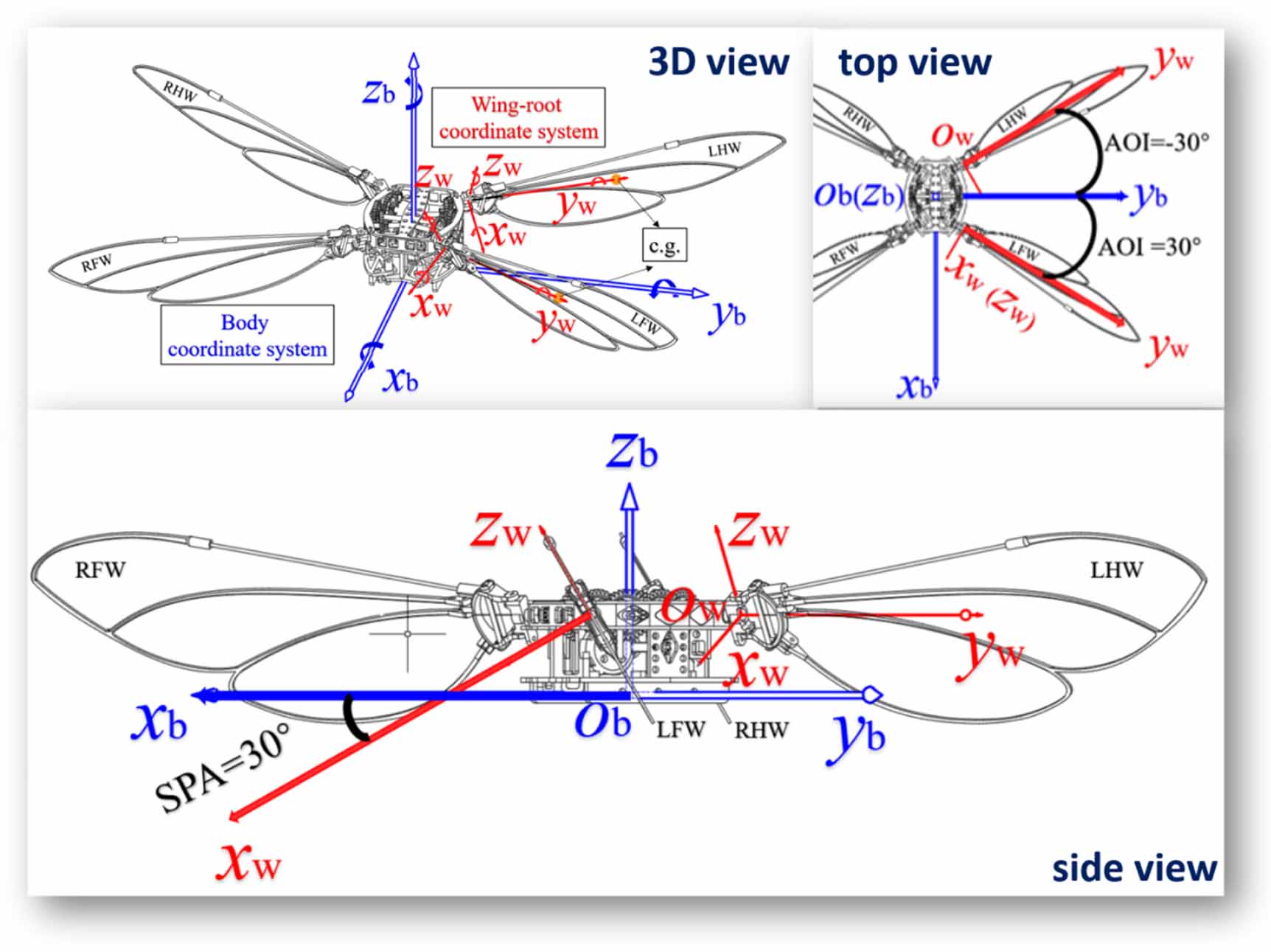 Analyzing the kinematics and longitudinal aerodynamics of a four-wing ...