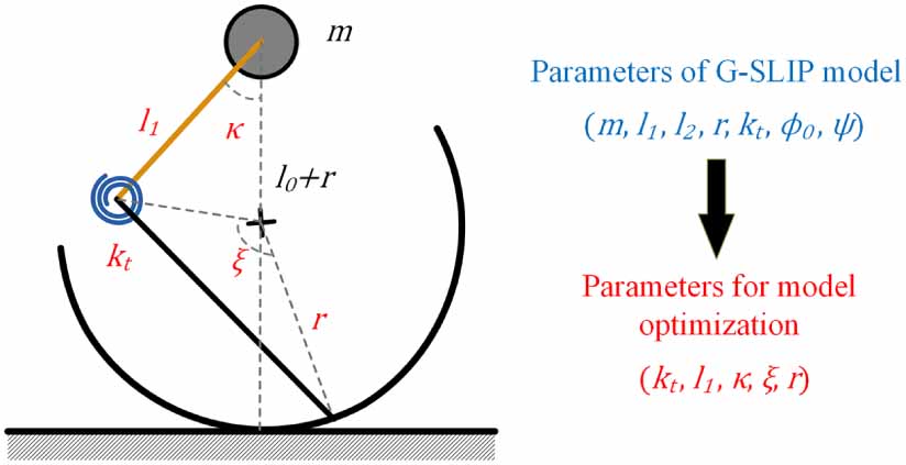 The generalized spring-loaded inverted pendulum model for analysis of ...